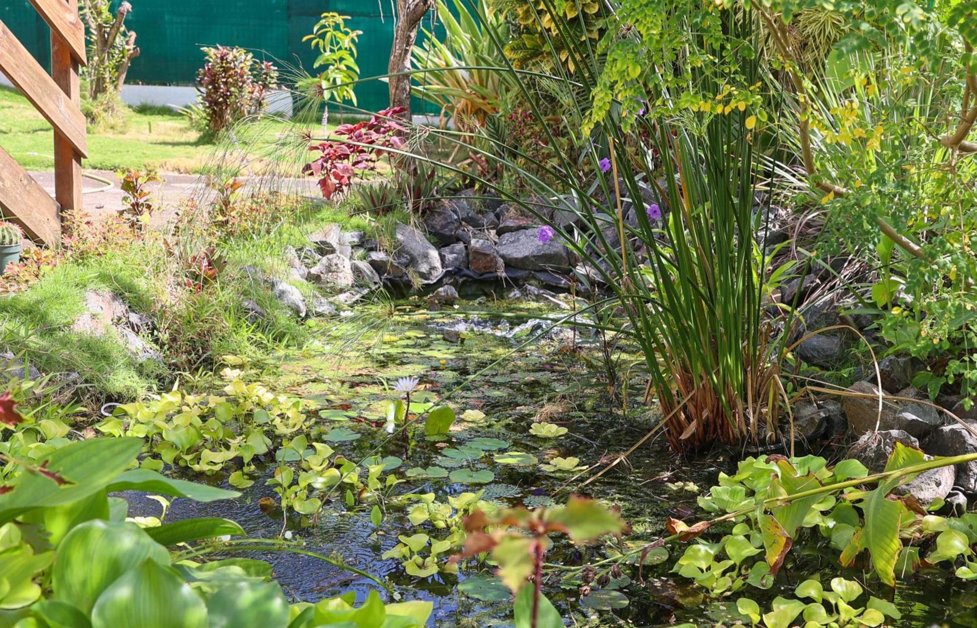 Tilapia Tropical Holiday home *